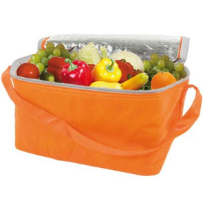 Borsa frigo in TNT personalizzato promozionale-22