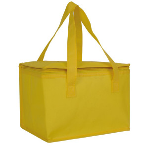 Borsa termica in TNT personalizzato promozionale-26