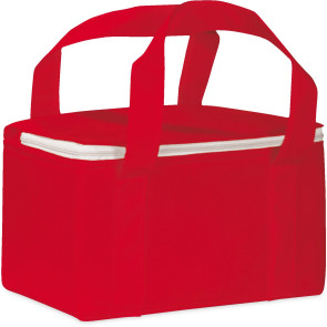 Borsa termica in tnt personalizzato promozionale-21