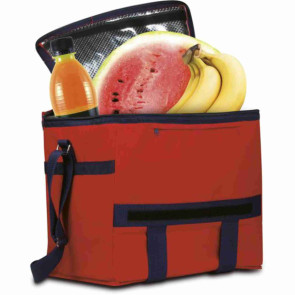 Borsa Termica grande personalizzato promozionale-21